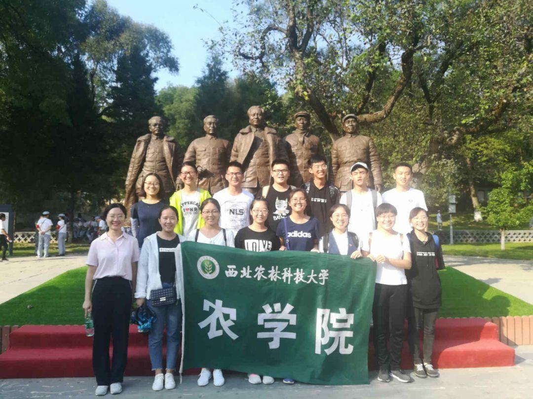 逗小猴开心系列178